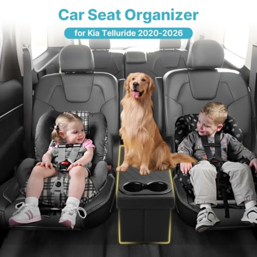 Car Seat Organizer for Kia 202 - Car Seat Organizer ulasan dan harga
