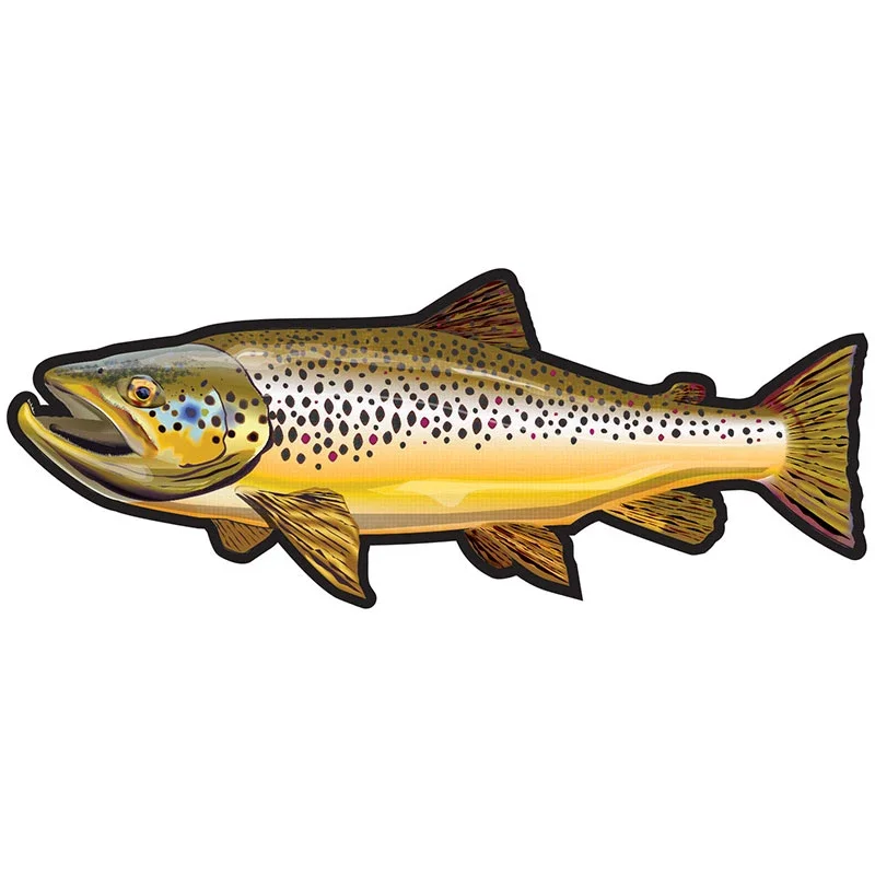 Car Stickers Wild Brown Trout  - Car Accessories You Need ulasan dan harga